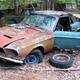 Illustration for article titled Massive Secret Mustang Junkyard Found In Rhode Island Forest